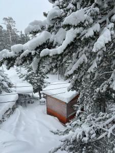Хижина Логово - 17