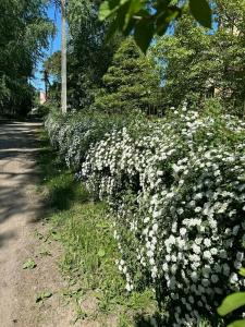 Понарт - 41
