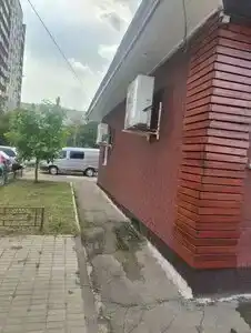 Давидик - 43