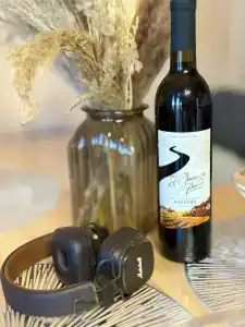 Гамма - 9