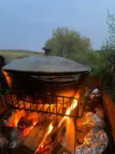 Новый ковчег - 31