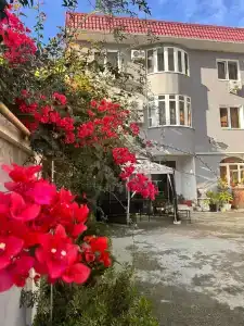 Семейная гавань - 0