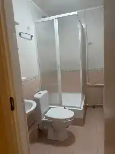 Тюльпан - 17