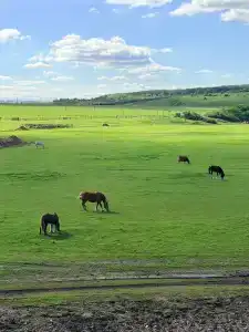 Дрим Хаус в Локтево - 23