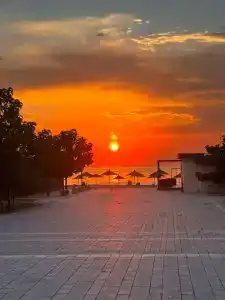 Paradise - 5