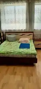 Дельфин - 16