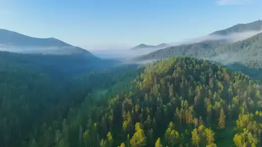 ТраваМурава - 3
