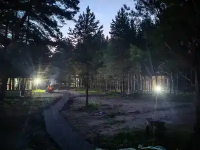 Лесная Резиденция - 1