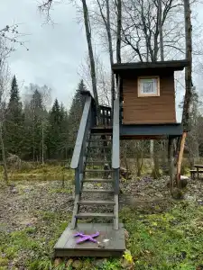 Федотовские дачи - 12