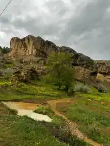 Aragvi - 12