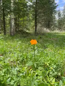 Под Счастливой Звездой - 4