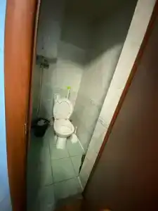 Присвирье - 14