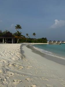 dusitD2 Feydhoo Maldives - 31