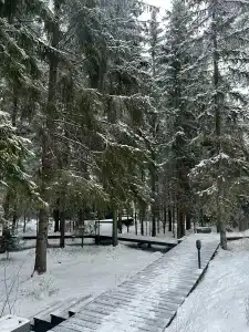 Я на Базе - 40