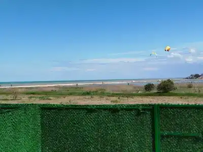 Сумахи - 23