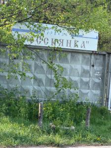 Росинка - 25