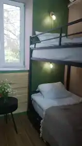 Лаванда - 5