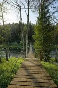 Берег Серого - 6