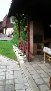 Сударушка - 24