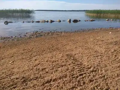 Уницы - 13