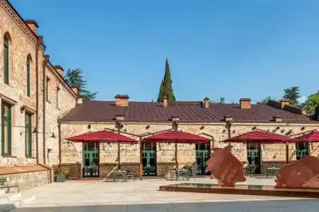 Tsinandali Estate, A Radisson Collection - 16