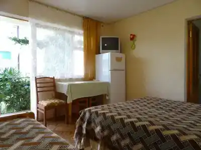 Светлячок - 40