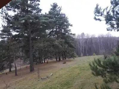 Избушка на опушке - 13
