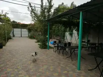 у Алексея - 31