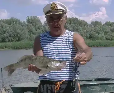 Раздолье - 37