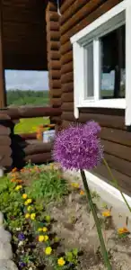 Киселевка - 17