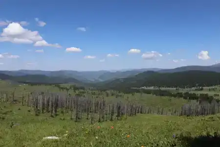 Борискин лог - 4