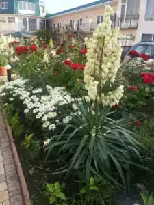 Гостевой дом на Гагарина, 6 - 8