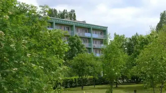 Светлана - 9