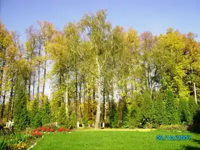 Зеленая роща - 4