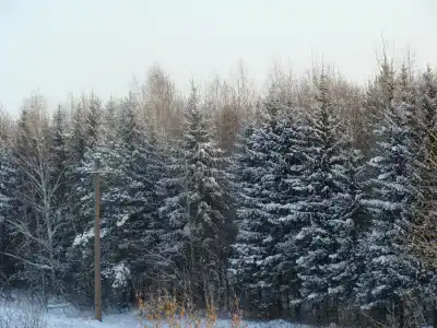 Жемчужина - 2