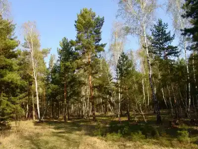 Детский легочно-туберкулезный санаторий - 2