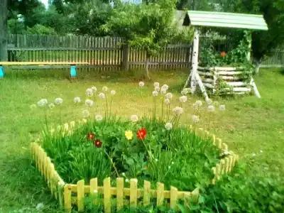 Берёзка - 4