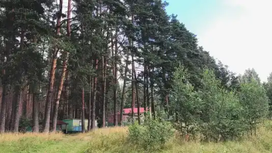 Озеро Великое - 16