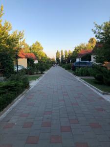 Дельфин - 13