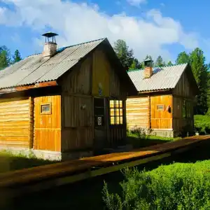 Снежный барс - 6
