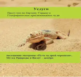 Высота - 81