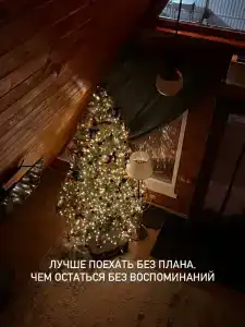 Лесной шалаш - 10
