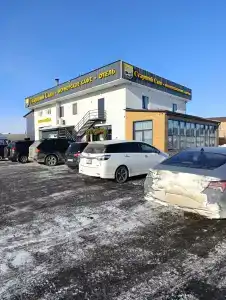 Старший сын - 38
