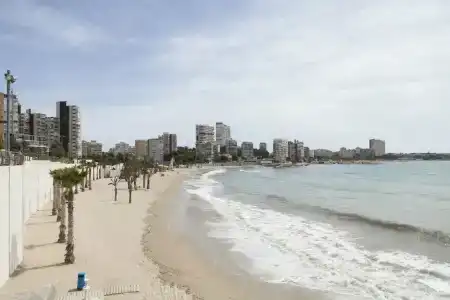 Albahia Alicante - 3