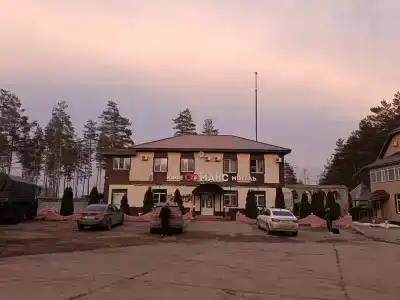 Макс - 1