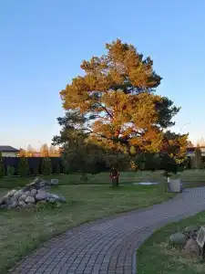 Нотебург - 36