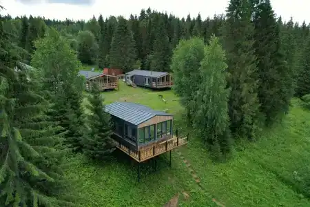 Филин - 1