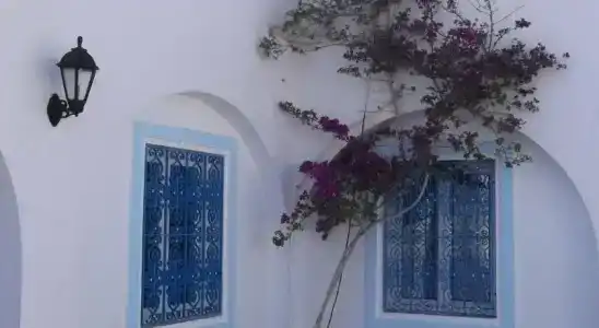 Zenon Hôtel Djerba - 5