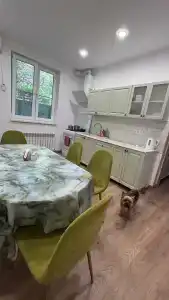Горный кедр - 7