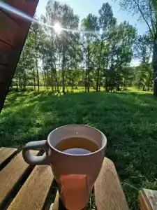 Фазенда - 19